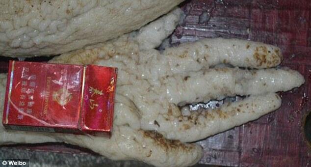 Benarkah Warga China Temukan Alien??