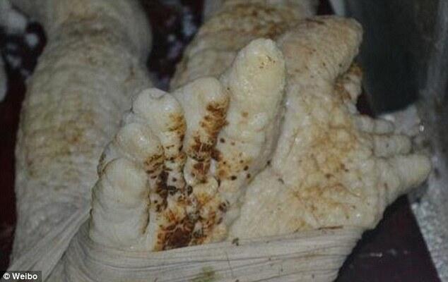 Benarkah Warga China Temukan Alien??