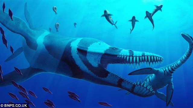 Ditemukan Fosil Pliosaurus, Monster
Penguasa Laut Seberat 12 Ton