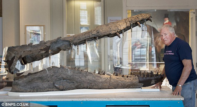 Ditemukan Fosil Pliosaurus, Monster
Penguasa Laut Seberat 12 Ton