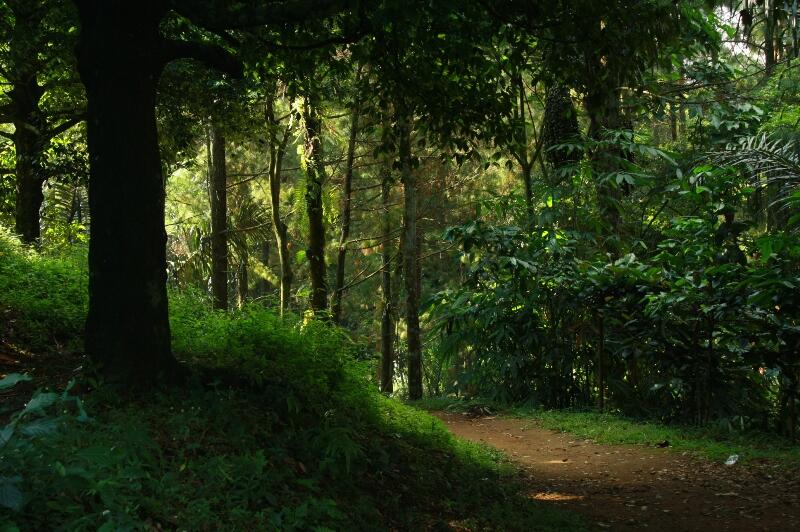 Gan Traveller, Ada Wisata Air Terjun Semirang.