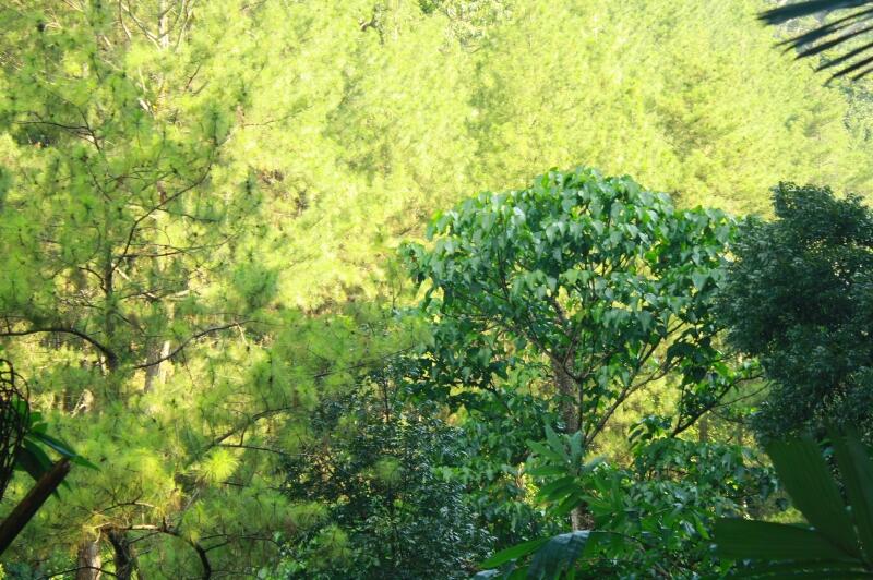 Gan Traveller, Ada Wisata Air Terjun Semirang.