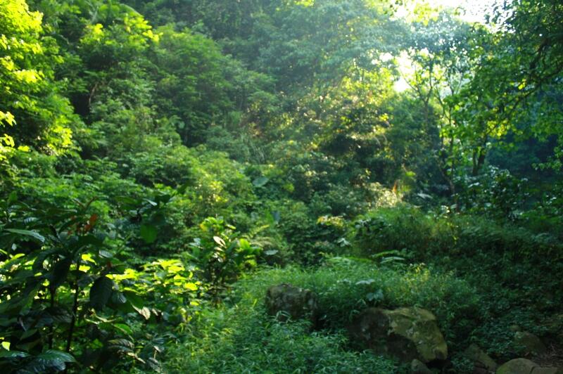 Gan Traveller, Ada Wisata Air Terjun Semirang.
