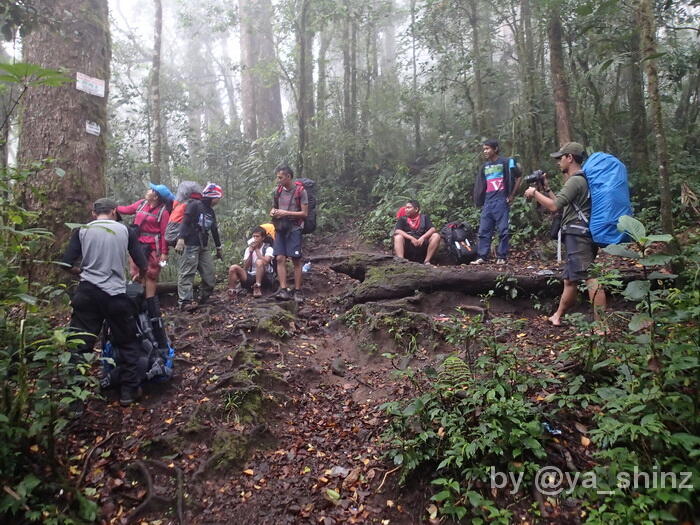 &#91;CATPER&#93; Kerinci 7 - 9 Mei 2013 - Sekepal Tanah Dari Surga -