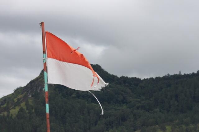 Pemburu Koin Di Danau Toba, Sumatera Utara