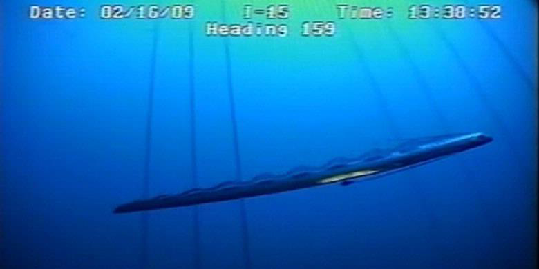 Wujud monster raksasa laut tertangkap kamera