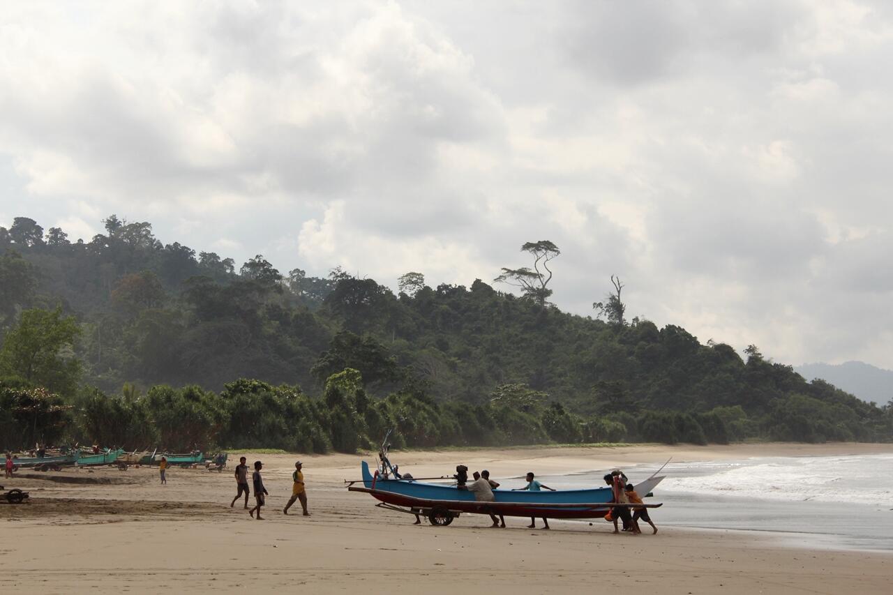 Teluk Hijau dan Keindahannya