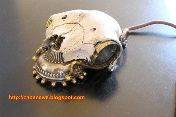 Mouse Unik dari berbagai Negara