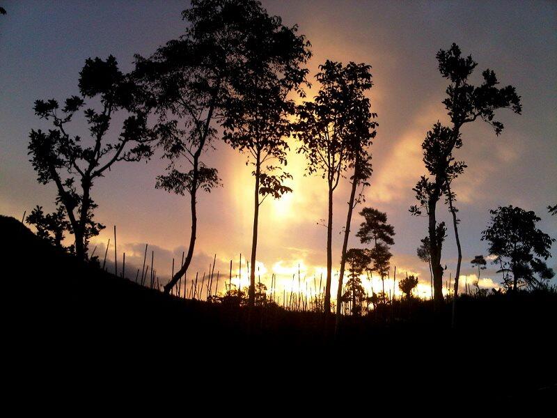Little Secret of Merapi, Sumbing, and Merbabu