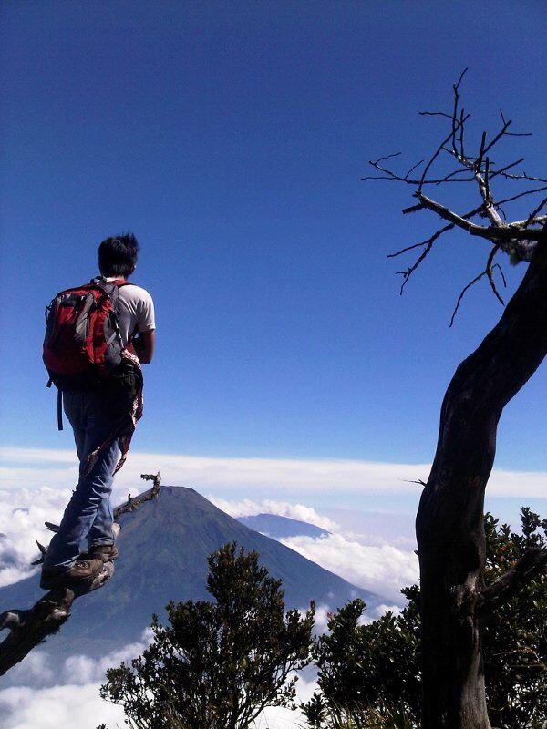 Little Secret of Merapi, Sumbing, and Merbabu