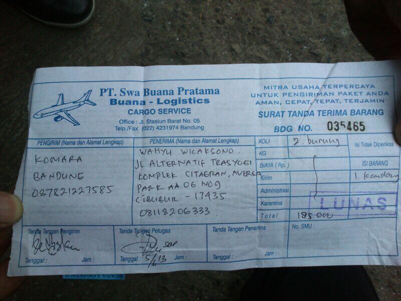 Jual kenari