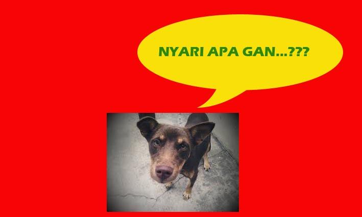 POKOKNYA JANGAN DI BUKA GAN,....ane udah peringatin