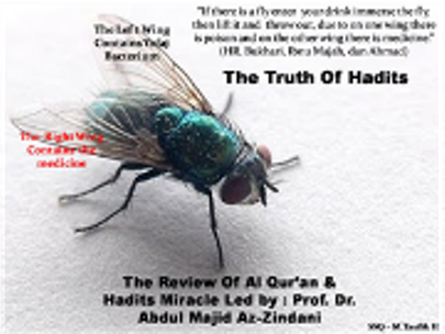 Lalat Salah Satu Bukti Kebenaran Hadist Nabi Muhammad 