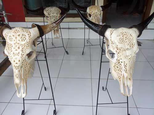 Ukiran Tengkorak Kepala Sapi