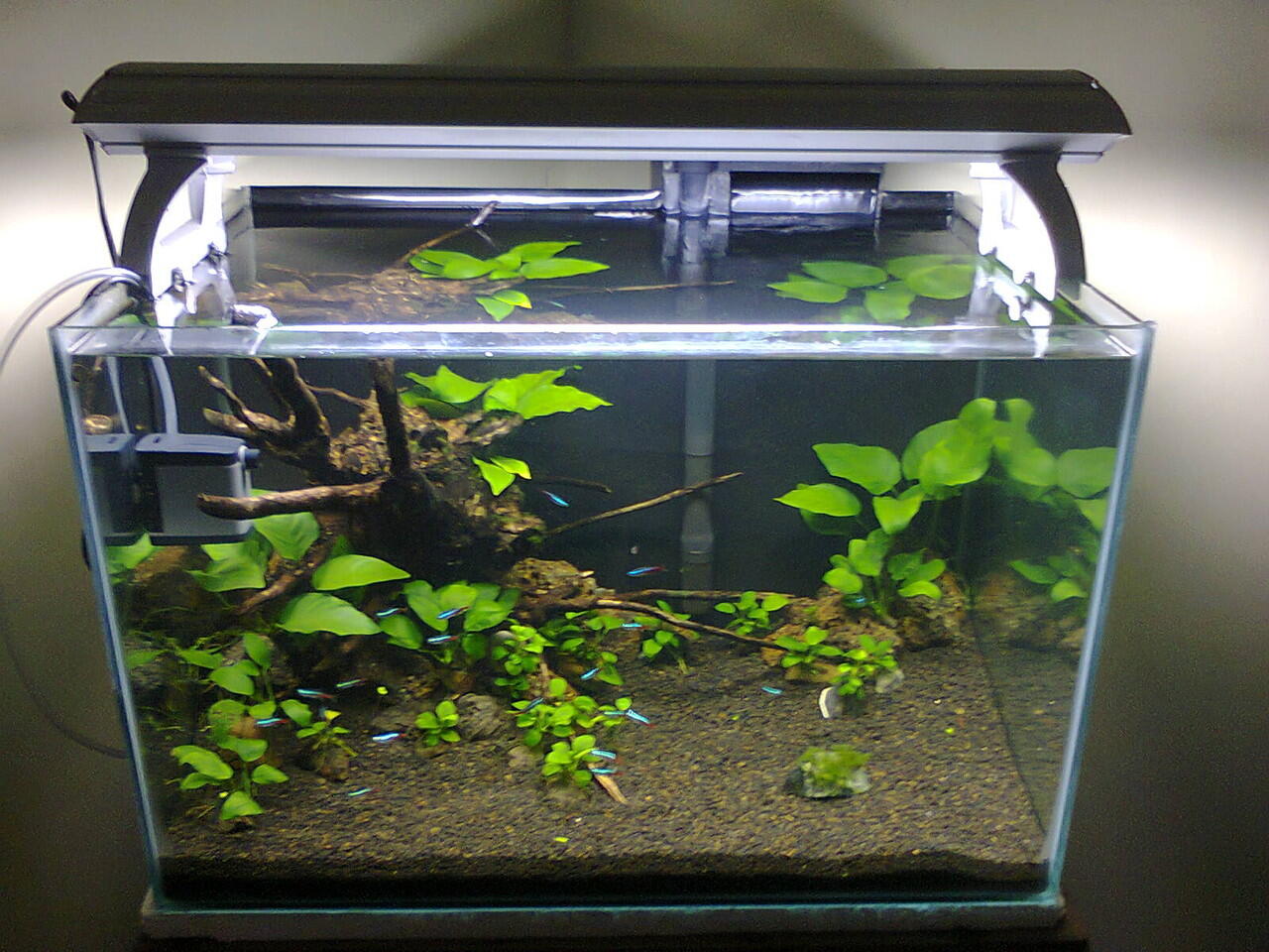 lu t5 aquascape l ideas lu t5 aquascape l ideas
