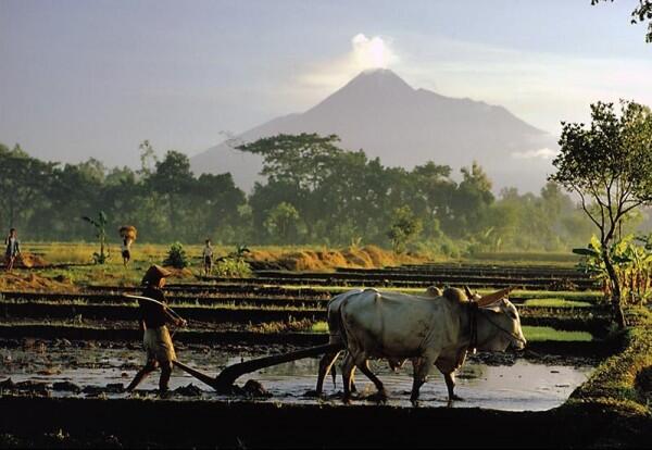 10 Gunung Teraktif Di Dunia Gannnnn.....Tau Gak?