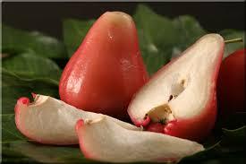 &#91;INFO&#93; Manfaat Jambu Air
