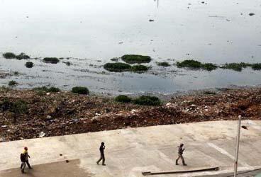 Dua Tahun Waduk Pluit Kembali Asri, Salut buat Jokowi Ahok