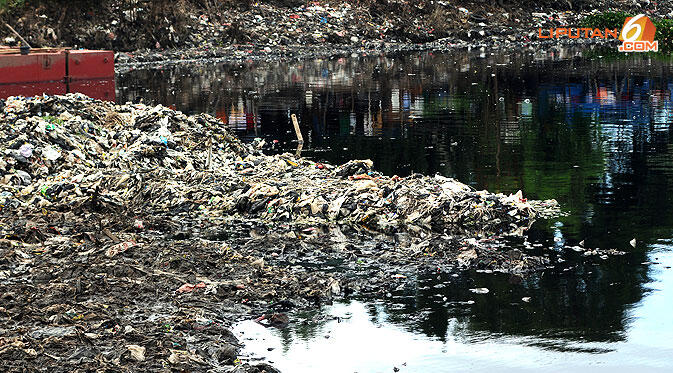 Dua Tahun Waduk Pluit Kembali Asri, Salut buat Jokowi Ahok