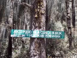 Gunung Sumeru &#91;cari tahu&#93; gan