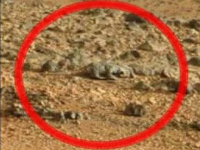 ADA PENAMPAKAN MAKHLUK ANEH DI PLANET MARS ?