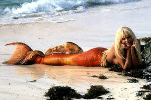 Putri Duyung biasa gan !! kalo PUTRA DUYUNG ????