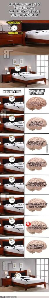 Alasan ane kenapa gak mau bangun tidur