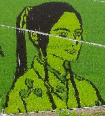 Tanbo Art gan (SENI MELUKIS DISEBIDANG SAWAH) 