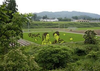 Tanbo Art gan (SENI MELUKIS DISEBIDANG SAWAH) 