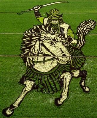 Tanbo Art gan (SENI MELUKIS DISEBIDANG SAWAH) 