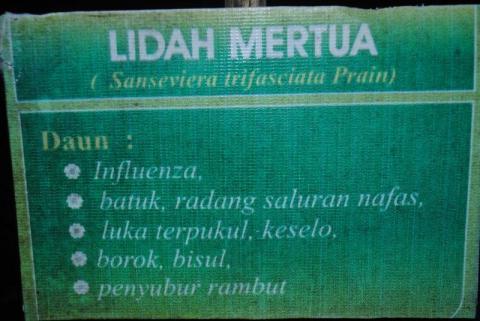 Foto Foto Lucu. Hanya di INDONESIA.