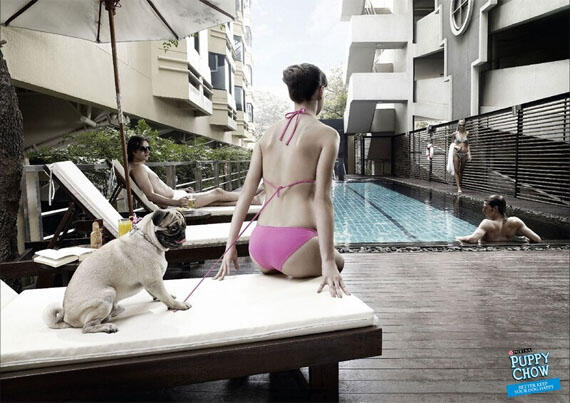 BUKTI KLW ANJING SUKA ISENK,...