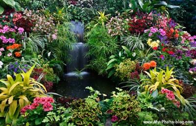10 Taman Paling Unik di Dunia 
