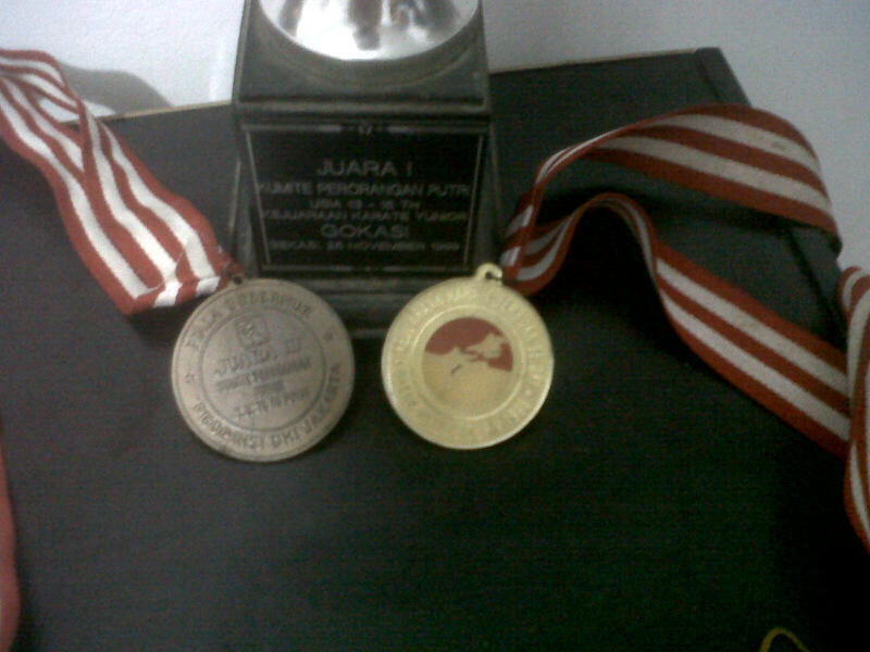 Agan pernah ikut olahraga ini ? KARATE history