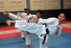 Agan pernah ikut olahraga ini ? KARATE history