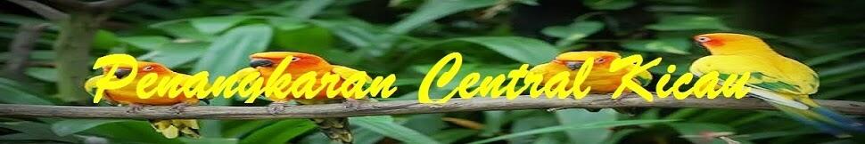 PENANGKARAN BURUNG KICAU-MENJUAL BERBAGAI JENIS BURUNG KICAU - LOVEBIRD & MURAI BATU