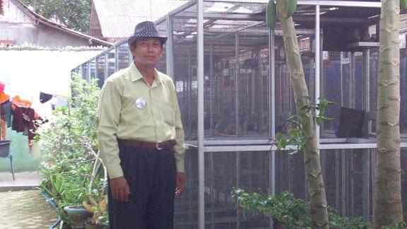 PENANGKARAN BURUNG KICAU-MENJUAL BERBAGAI JENIS BURUNG KICAU - LOVEBIRD & MURAI BATU