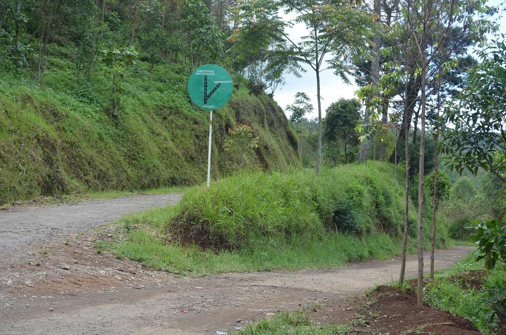 BUKIT TUNGGUL, wisata gunung yang masih asri di dekat Bandung