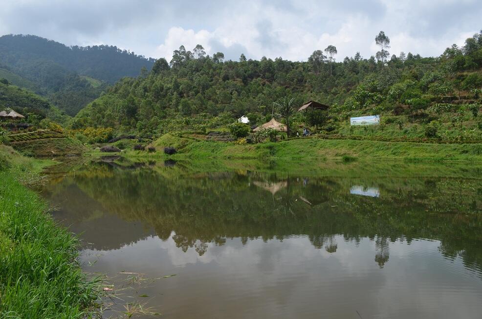 BUKIT TUNGGUL, wisata gunung yang masih asri di dekat Bandung