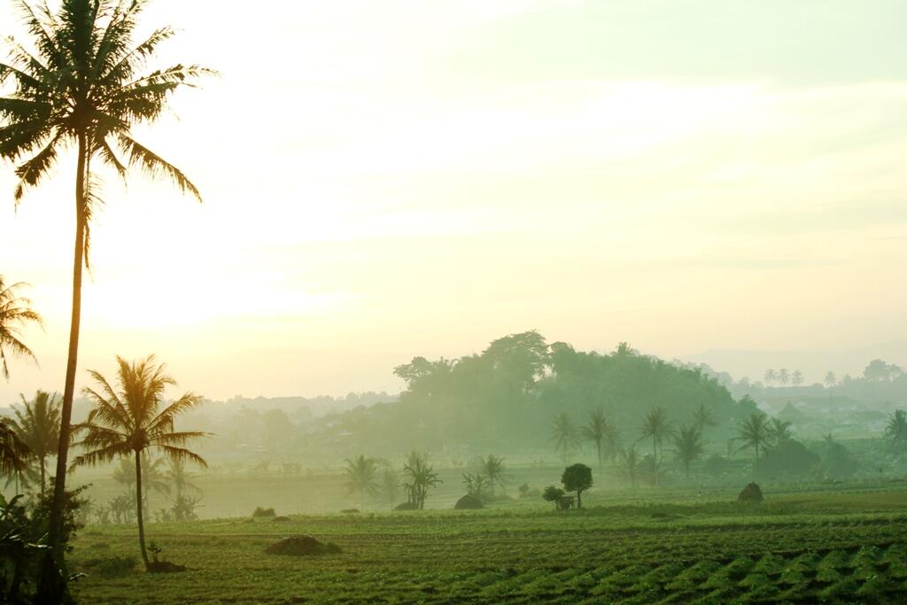 Pemandangan di Depan Rumah Ane Gan