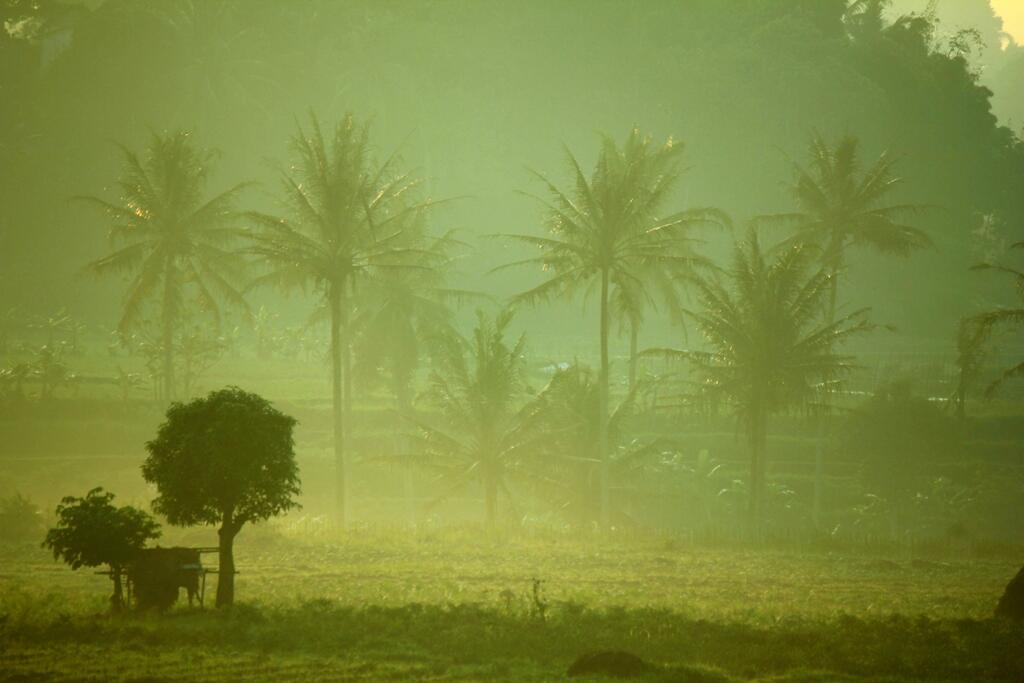 Pemandangan di Depan Rumah Ane Gan