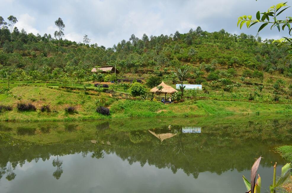 BUKIT TUNGGUL, wisata gunung yang masih asri di dekat Bandung