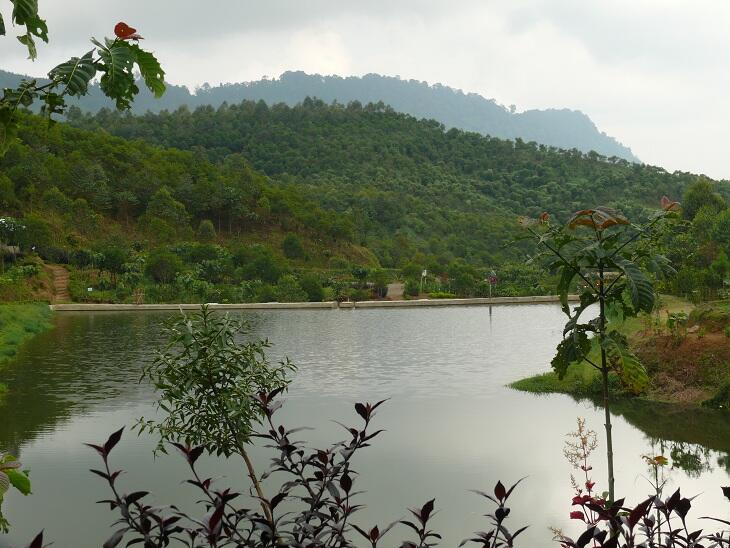 BUKIT TUNGGUL, wisata gunung yang masih asri di dekat Bandung