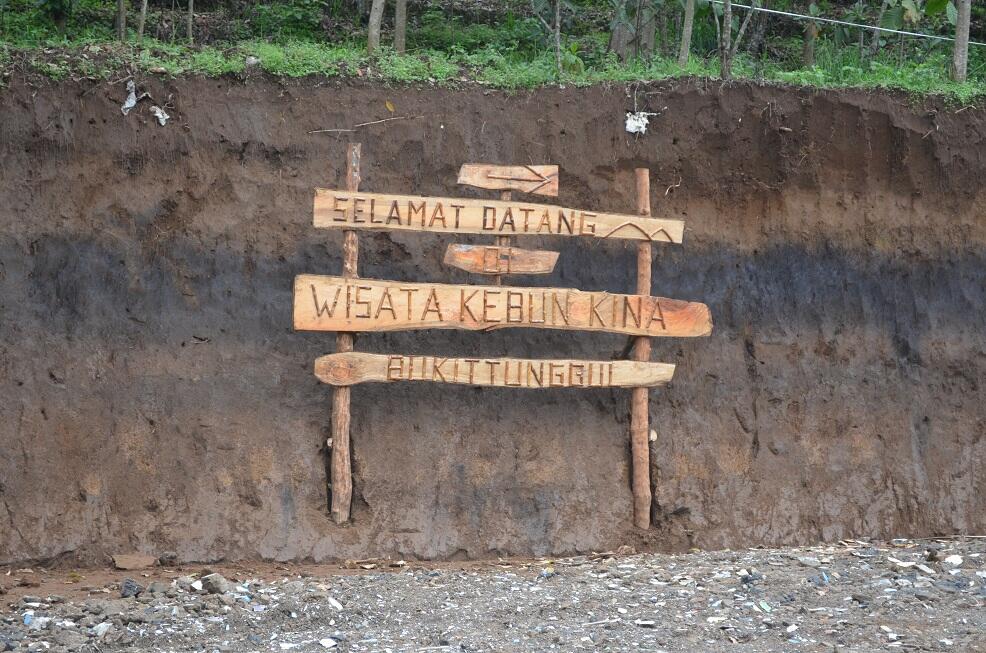 BUKIT TUNGGUL, wisata gunung yang masih asri di dekat Bandung