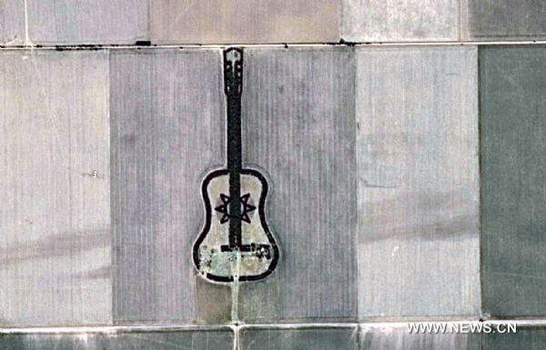 Mengenang Istri, Petani Argentina Buat Taman Berbentuk Gitar