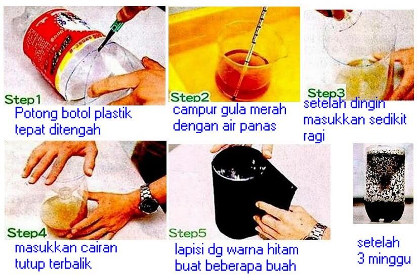 Alternatif Obat Nyamuk Yang Lebih &quot;Aman&quot;