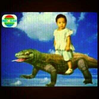 &#91;PICT&#93; GA NGAKAK ANE MAKAN BATA