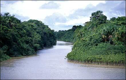 Inilah 7 Sungai terpanjang di Dunia