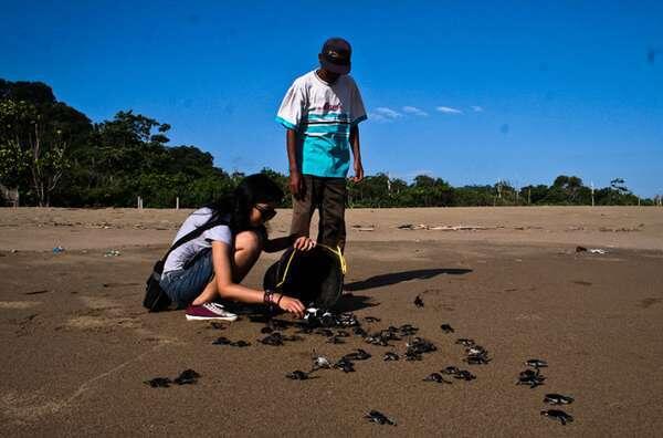 Keindahan Pulau Derawan, Surga dunia dari Borneo