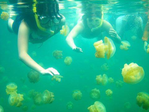 Keindahan Pulau Derawan, Surga dunia dari Borneo